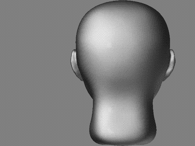 Human Back.GIF