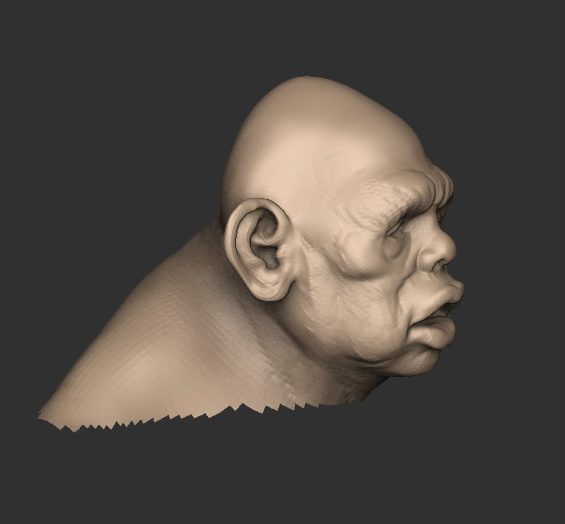 mountain_head_02.jpg