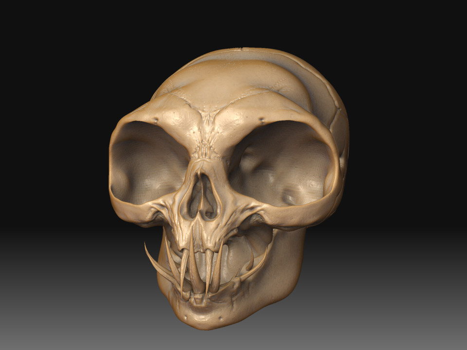 rev4_skull.jpg