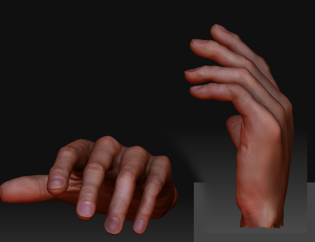 hand4.jpg