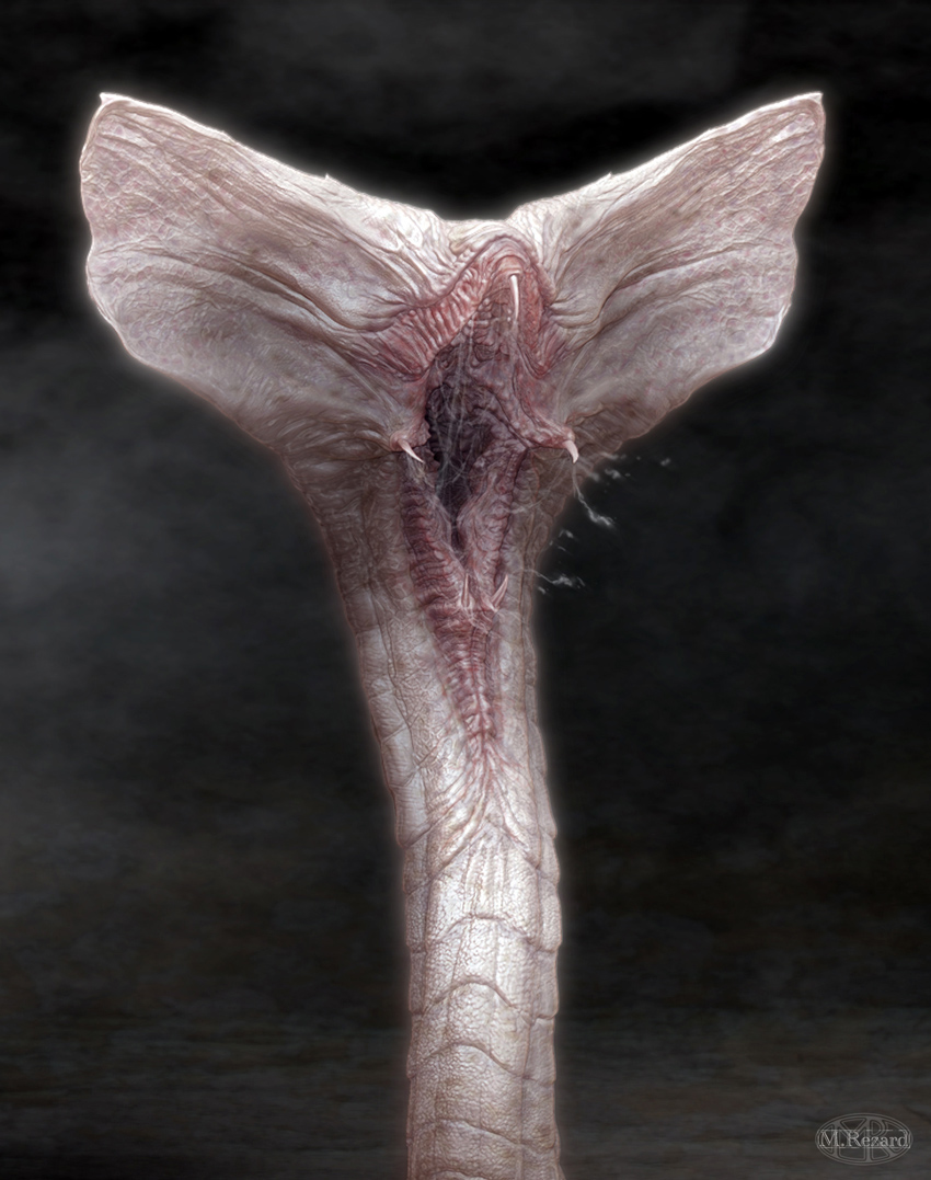 centepede.jpg