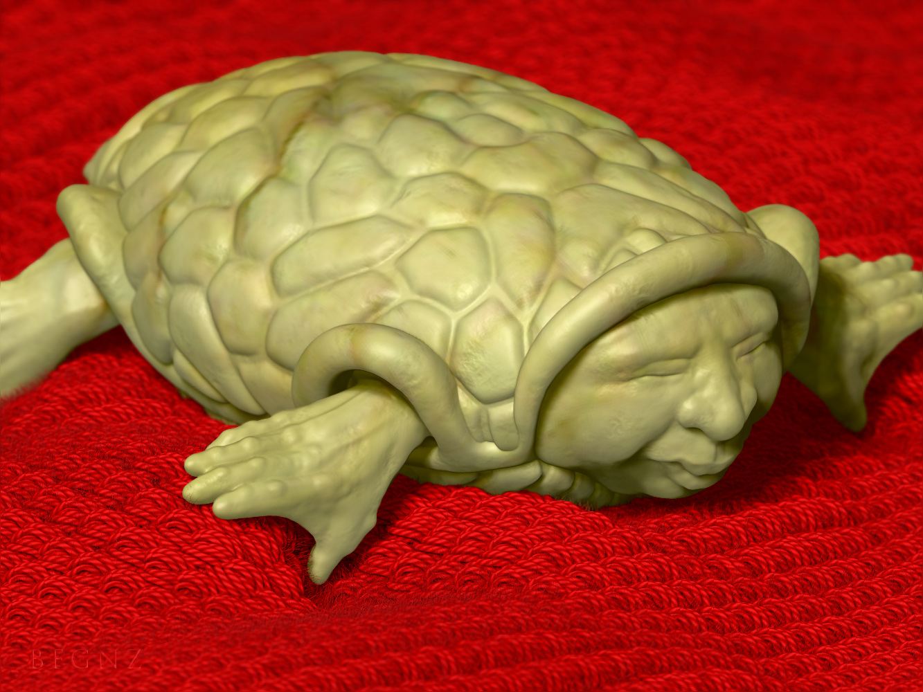 Turtle boy.jpg