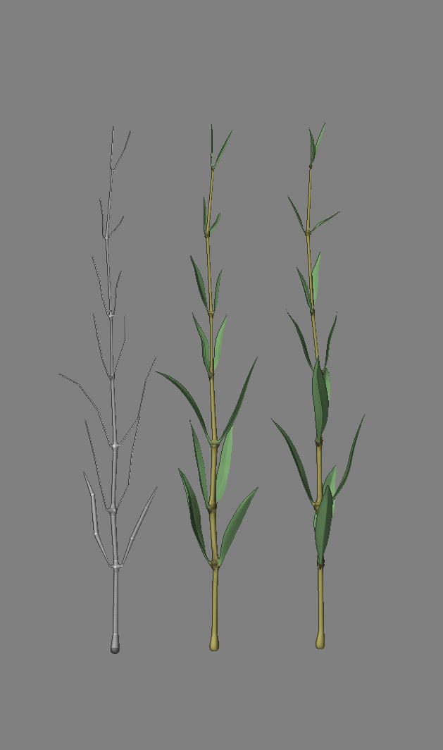 riet.jpg