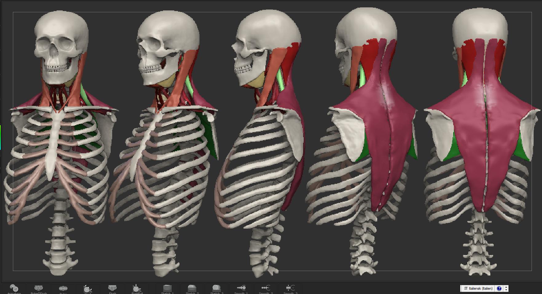 neck_done!.jpg