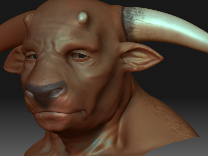 Txtr2Head.jpg