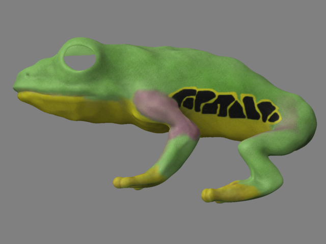 Frog-Color2.jpg