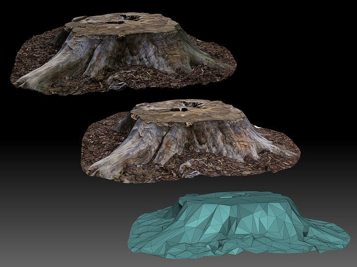 stump2.jpg