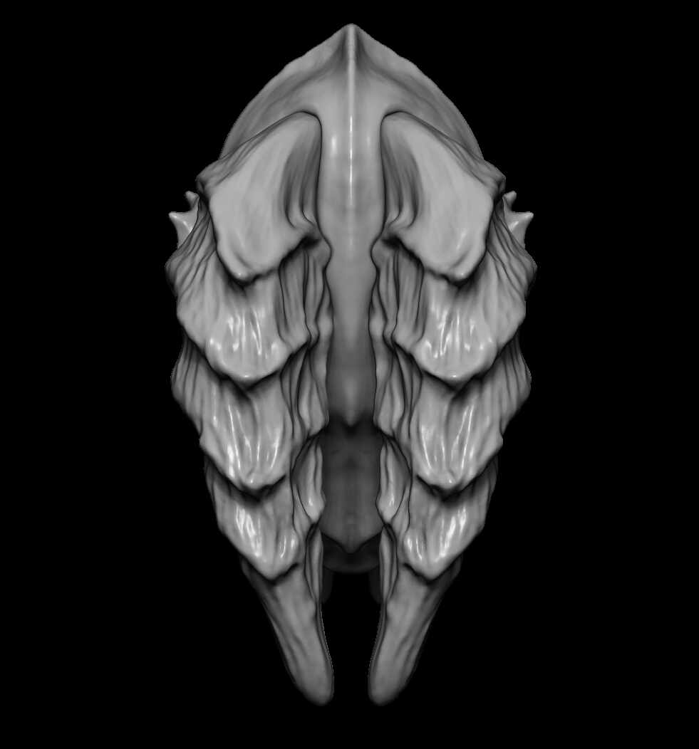 BPR_Render3