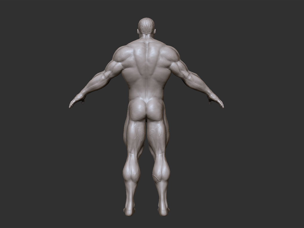he-man_body_back_01.jpg