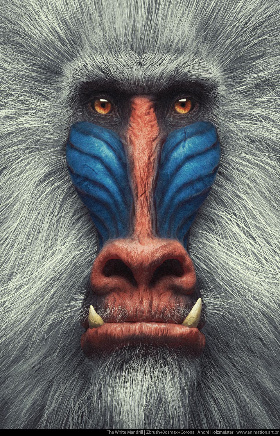 Mandrill_render_1.5K_002_500kb.jpg