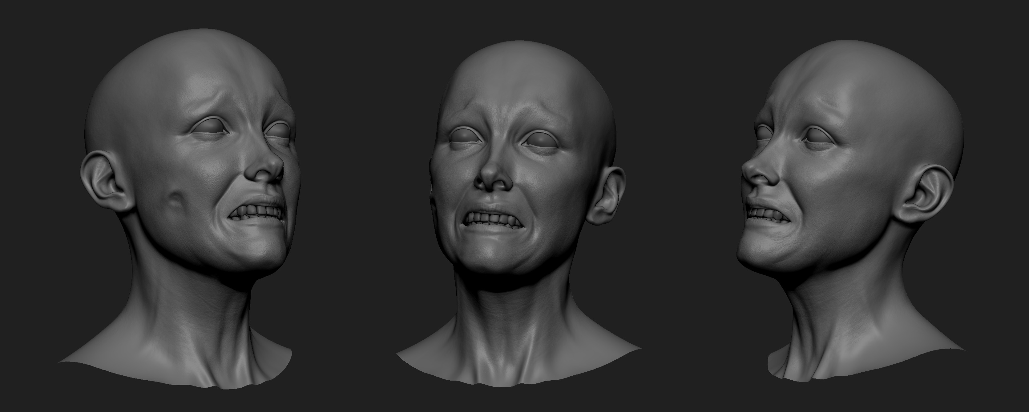 HighPoly_BatGirlHead_001.jpg