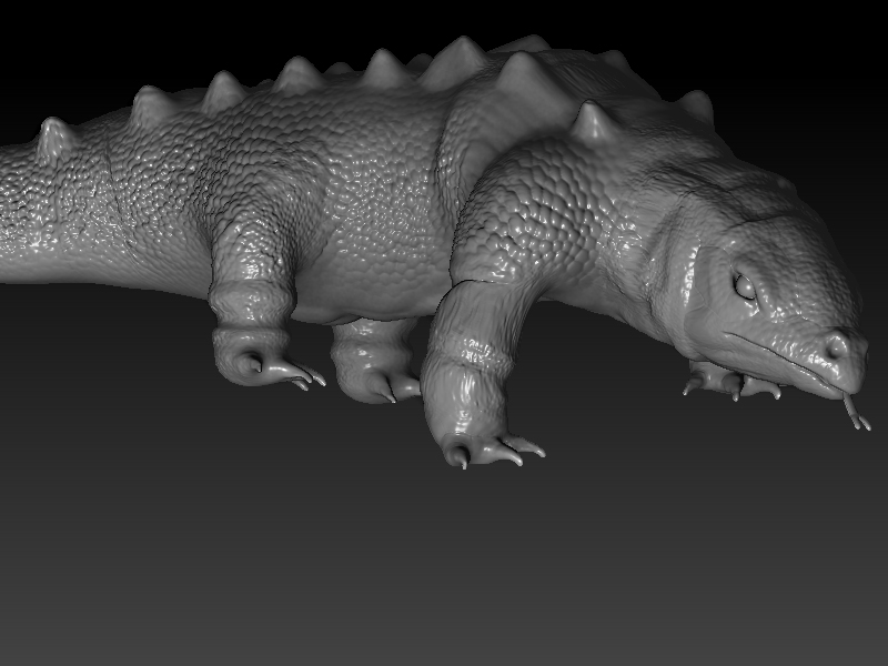komodo details3.jpg