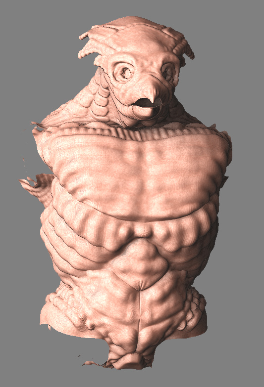 TORSO.JPG