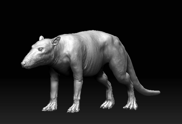 Pakicetus threeq.jpg
