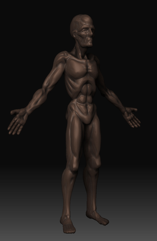 wipbody1.jpg