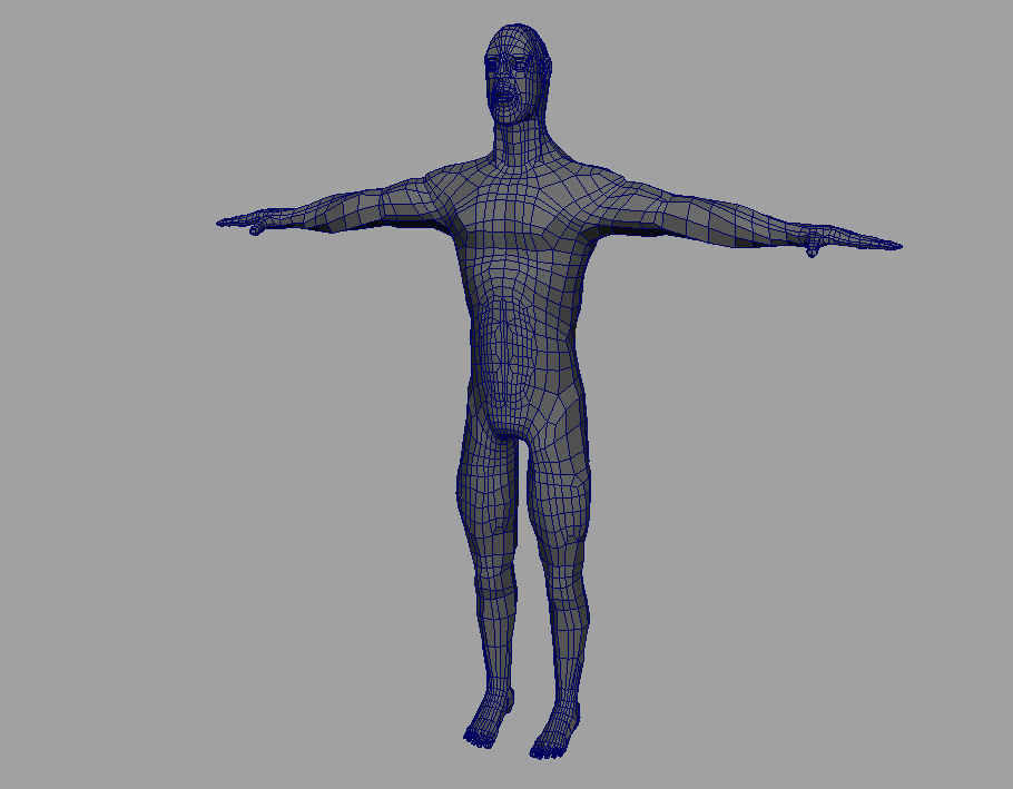 wire.jpg