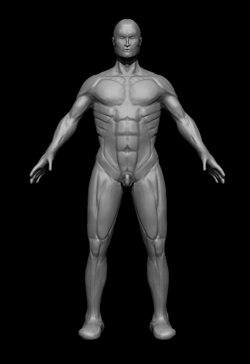 anatomy_front.jpg
