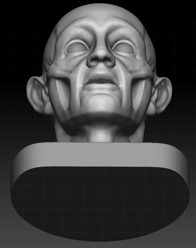 ecorche_from_bottom.png