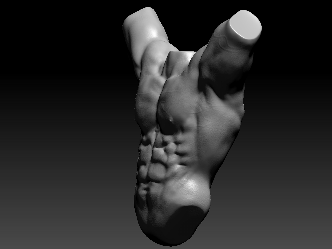 Torso3.jpg