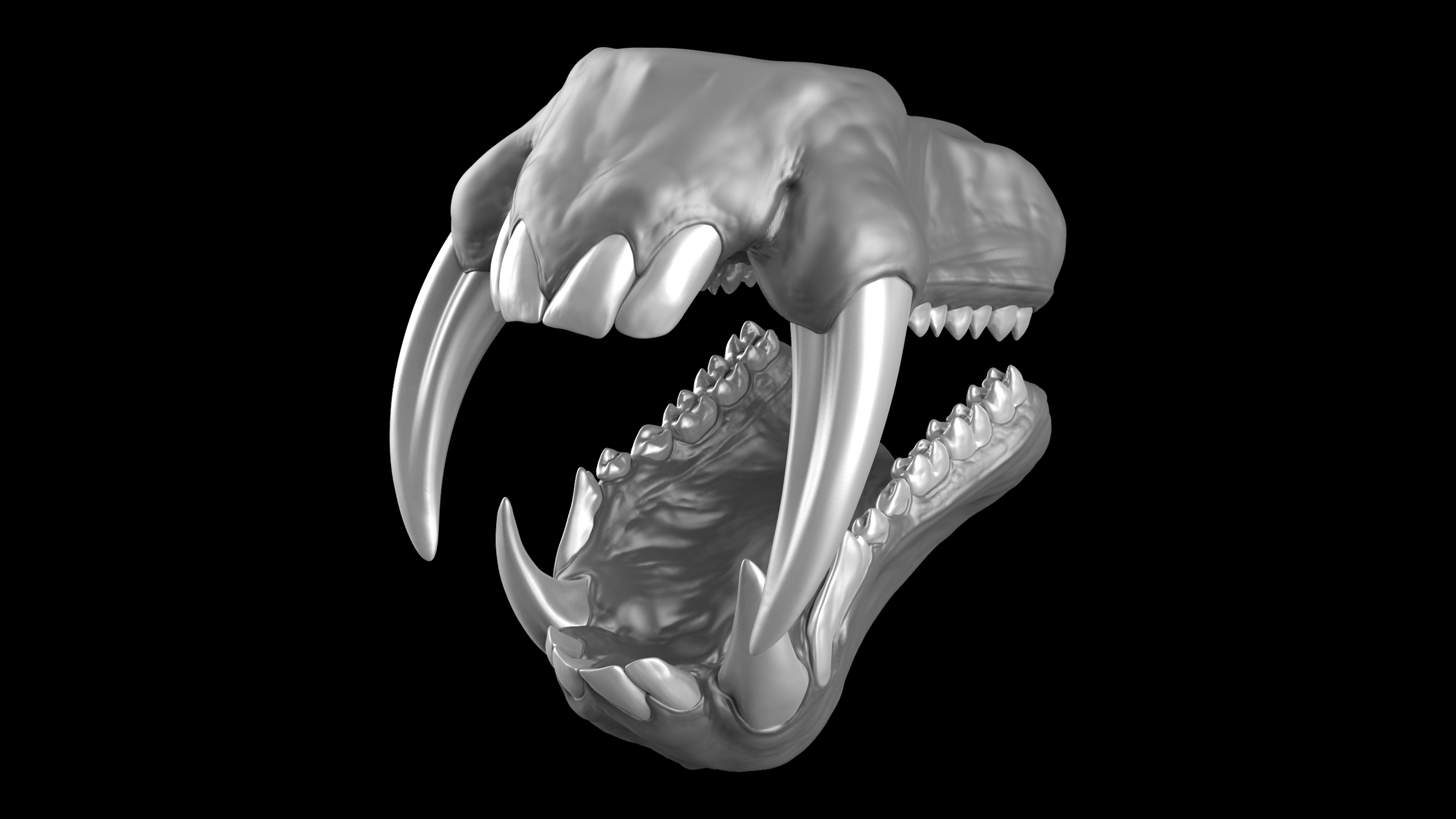 Teeth_Kits_Master_Views_Mandrill_07.jpg