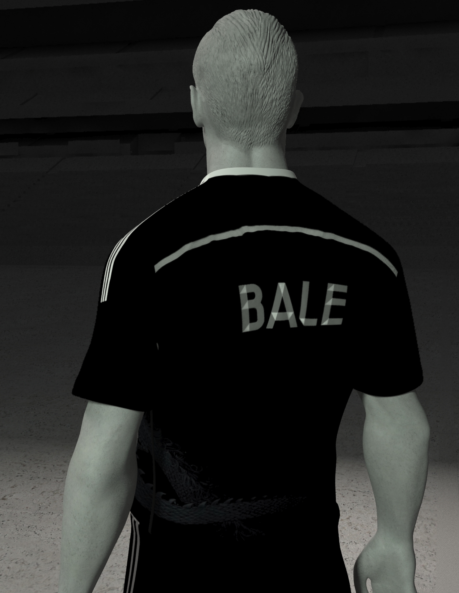 Wip_Bale3_.jpg
