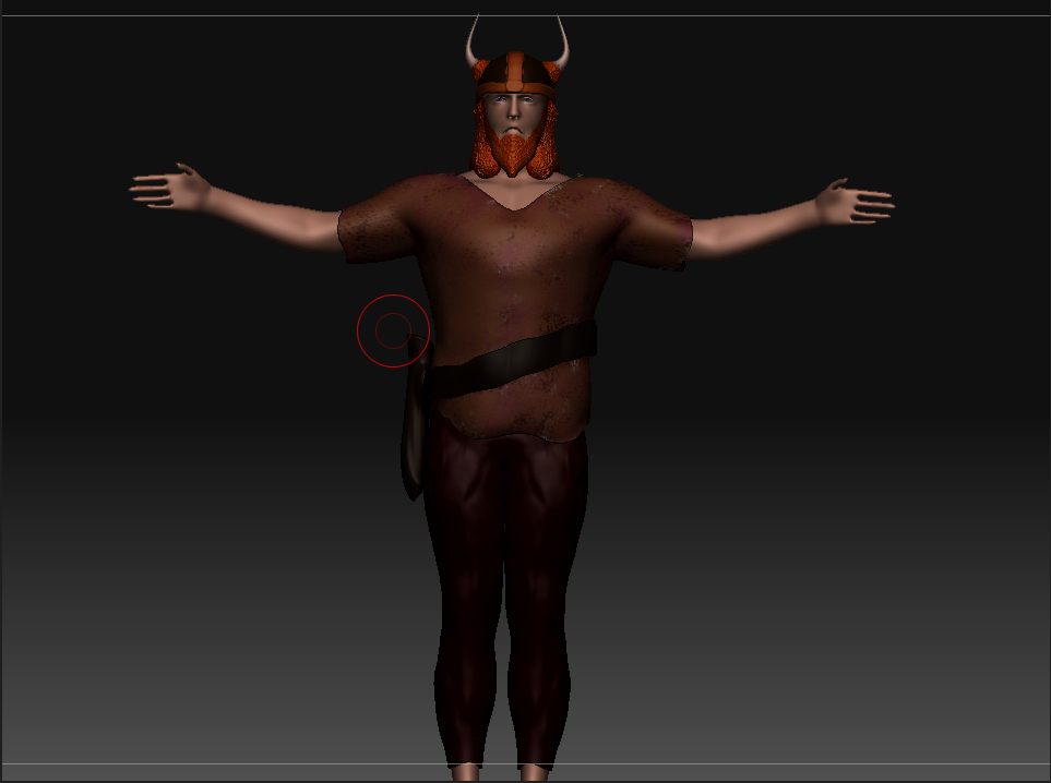 viking frontbody.jpg