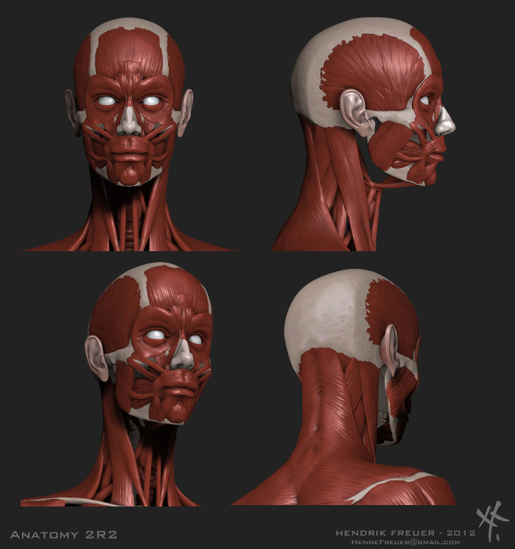 A2R2_Head.jpg
