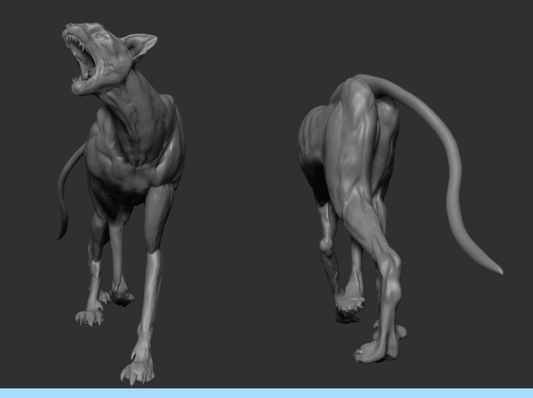 front_back_cat2_Allen_domantay_sml.jpg