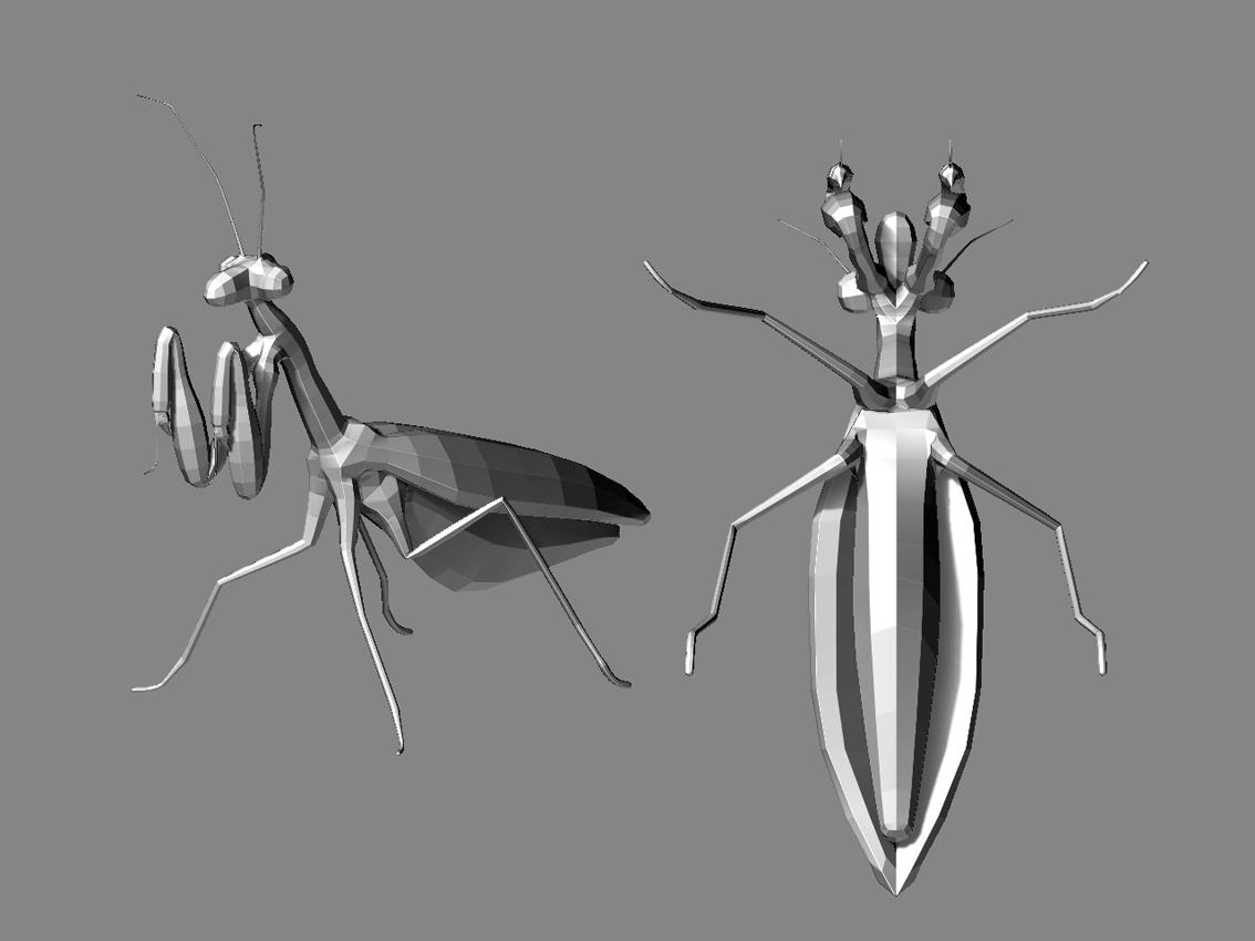 mantis_02.jpg