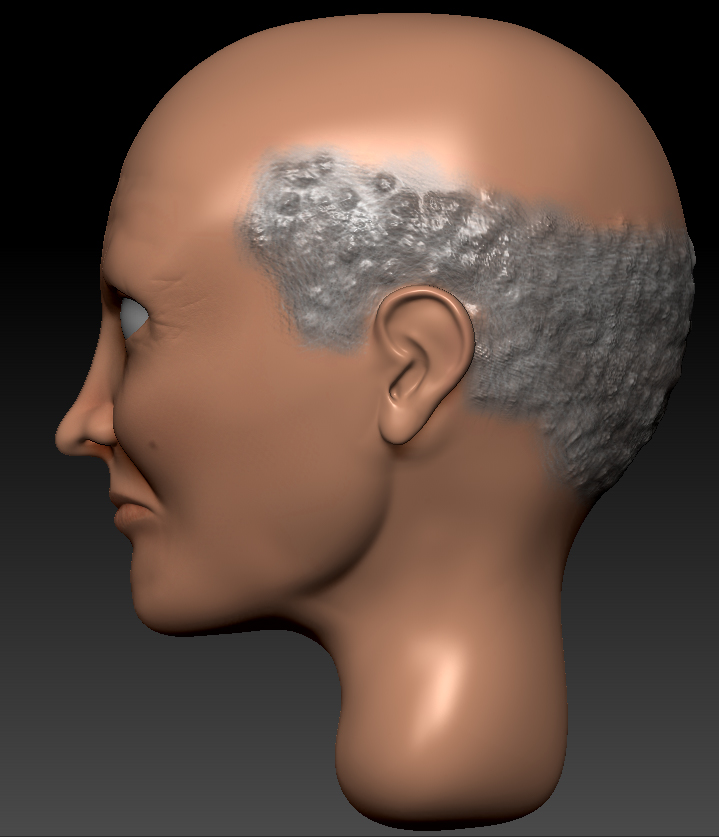 OldManSide.jpg
