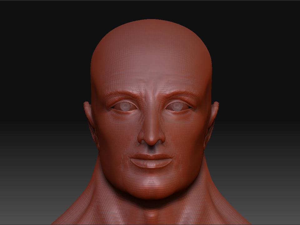 Fronthead3.jpg