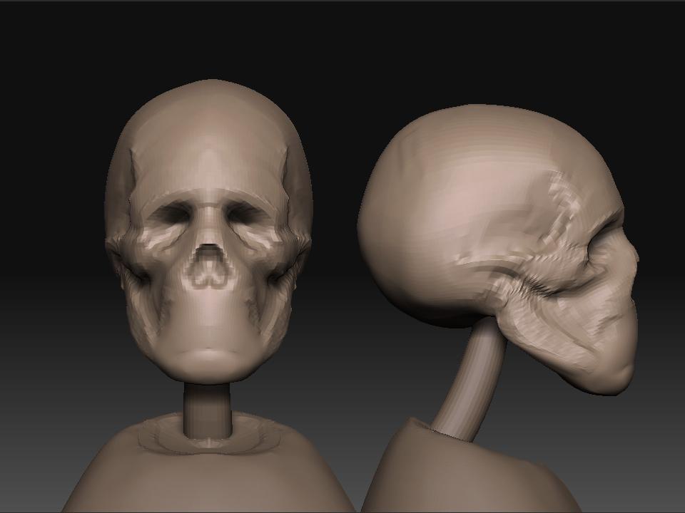 skull.jpg