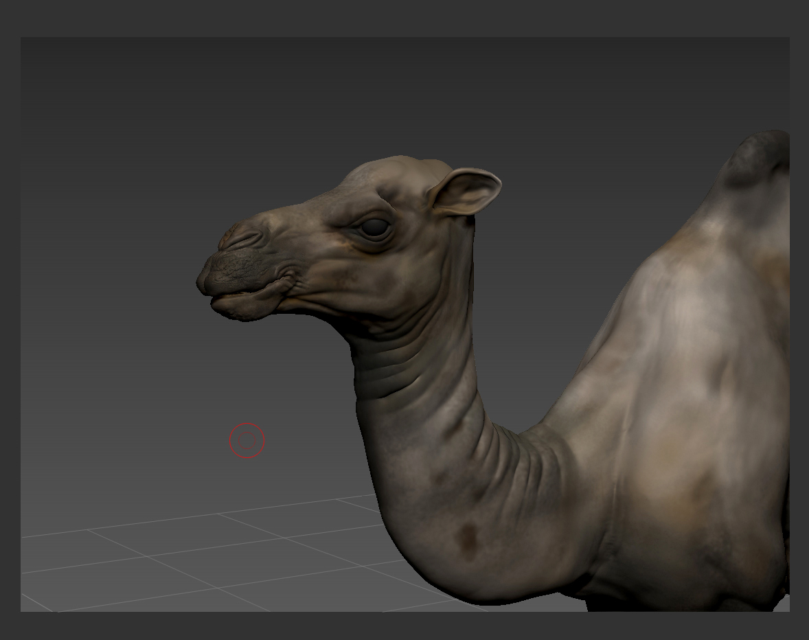 camel_polypaint_headweb.jpg