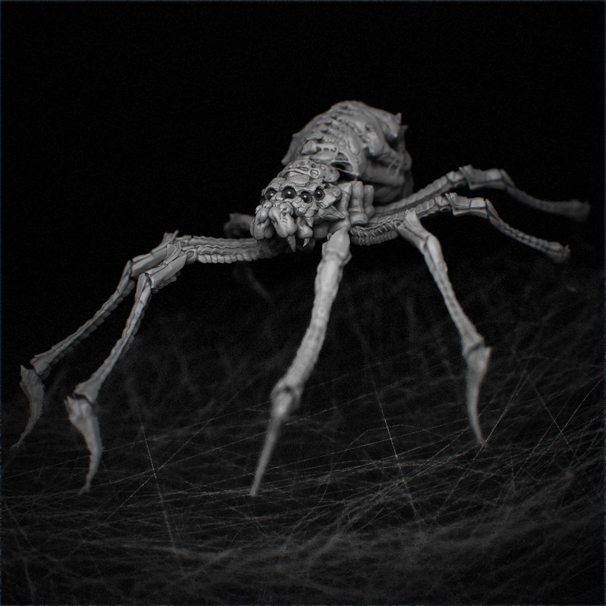 Resize of spider_01.jpg