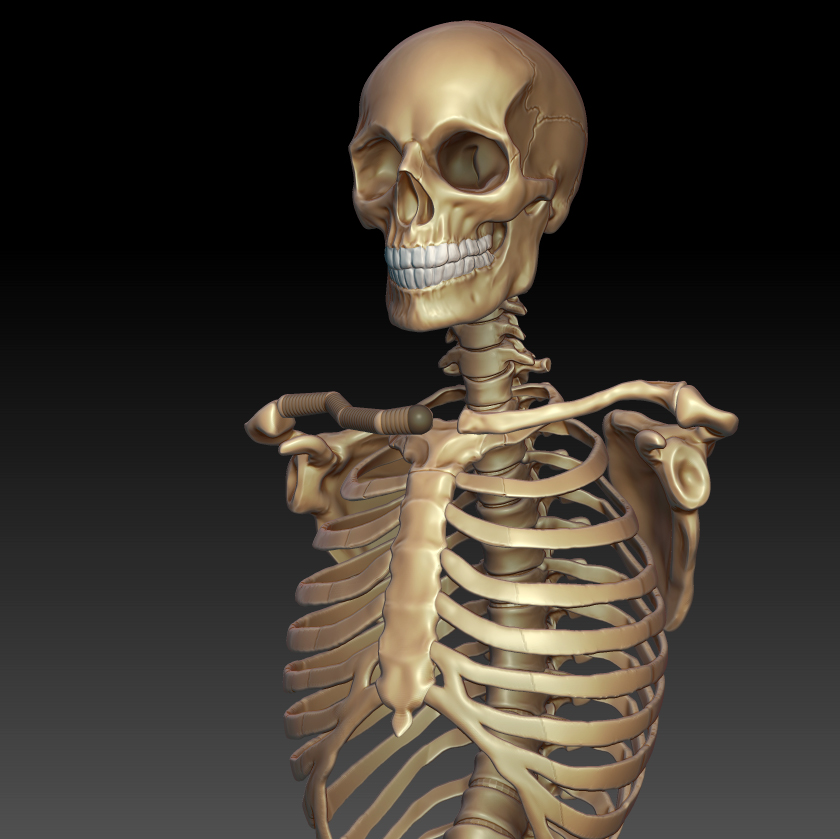 goldenskeleton.jpg