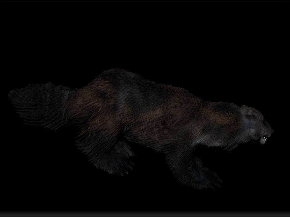WOLVERINE 1.jpg