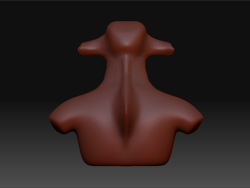 hammerhead_back1.jpg