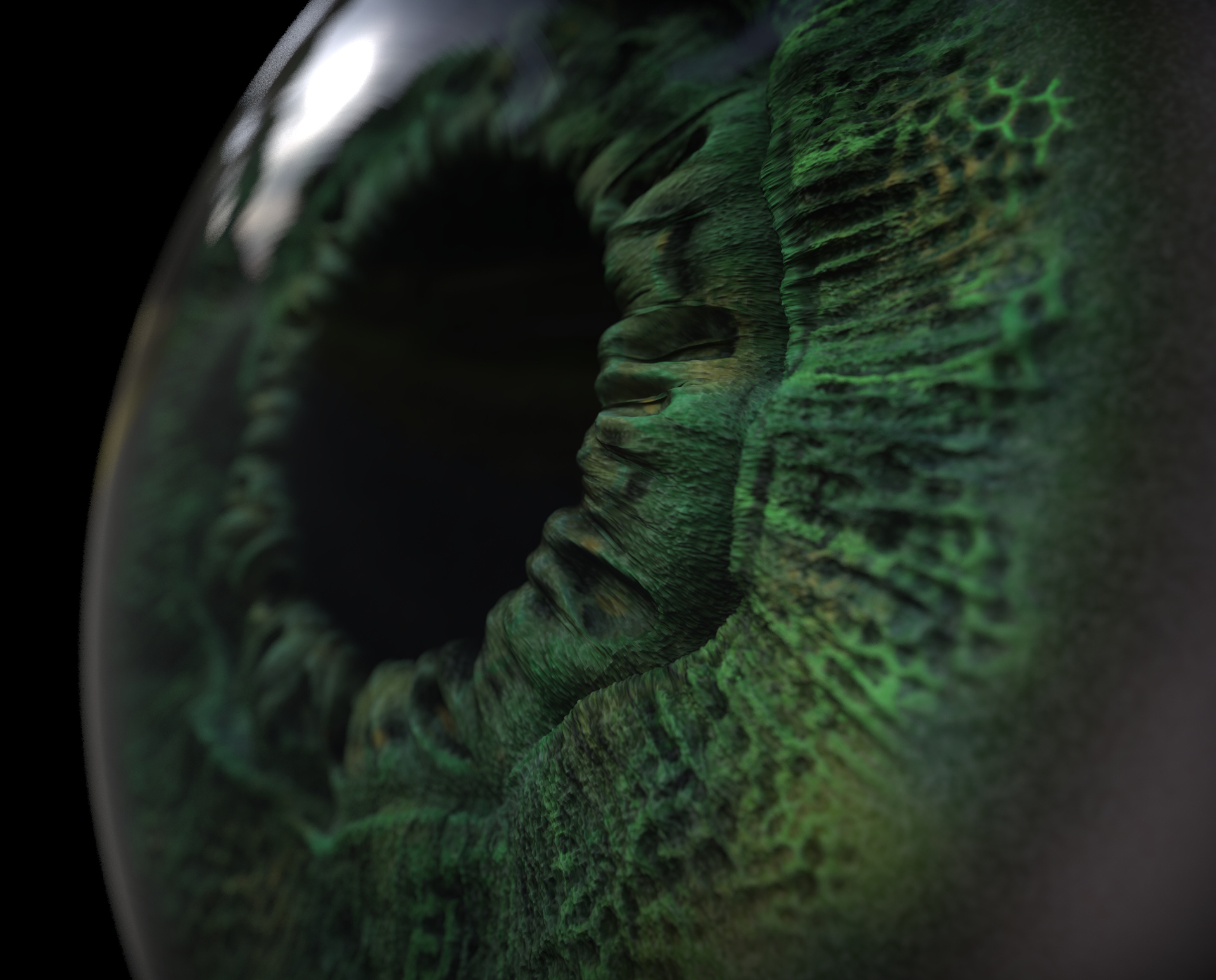 eye one.jpg