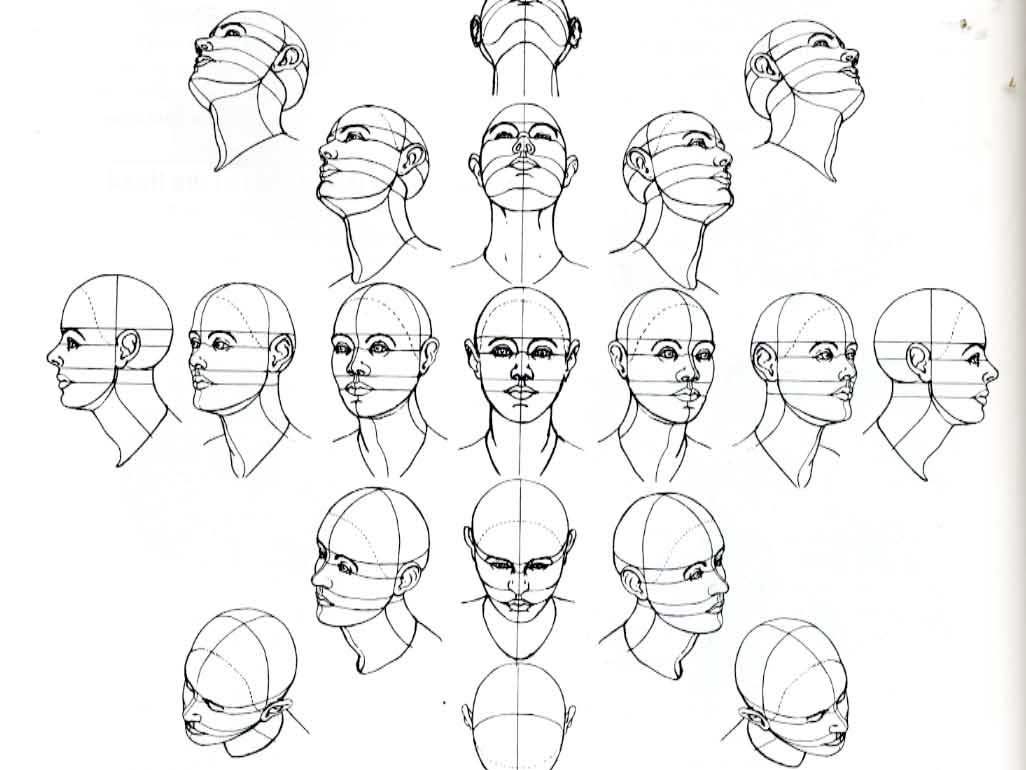 headref1.jpg
