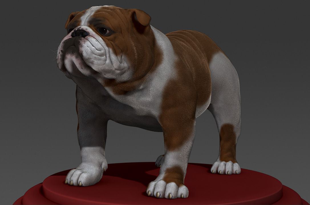 bulldog2.jpg