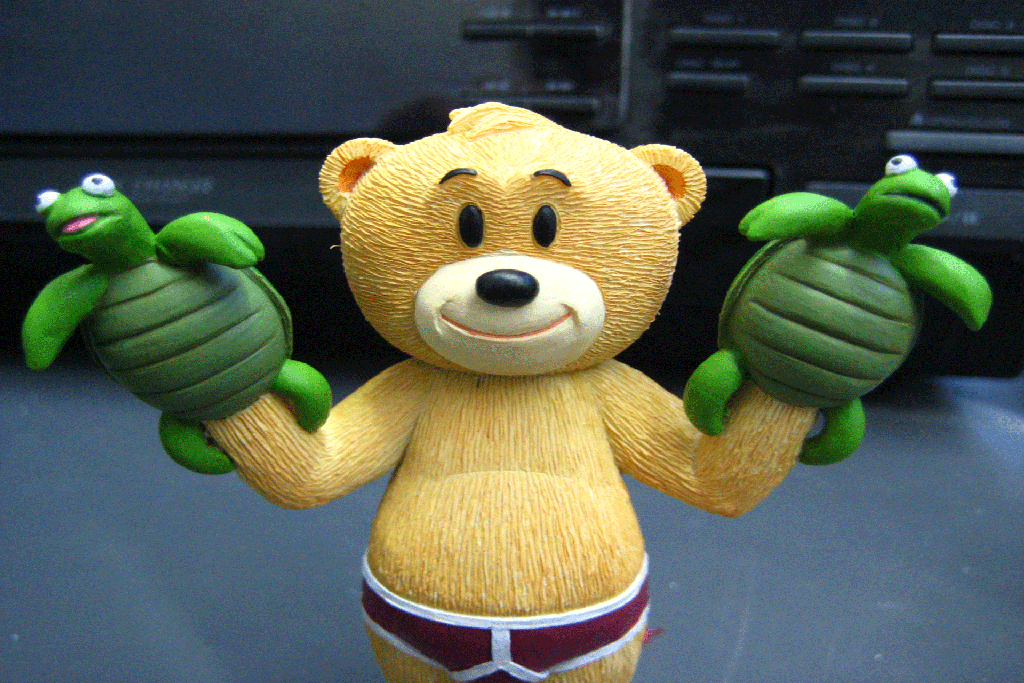 bad-taste-bear-tortoises.png