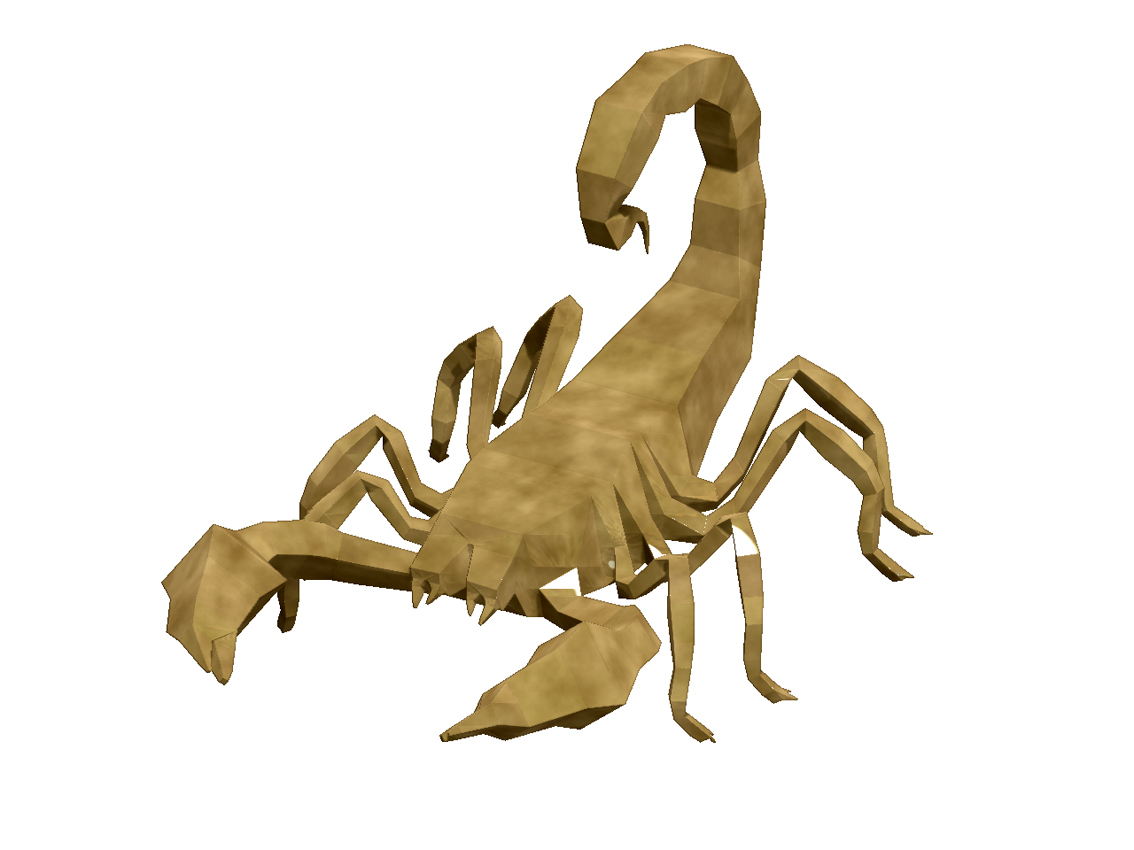 scorpion_02.jpg