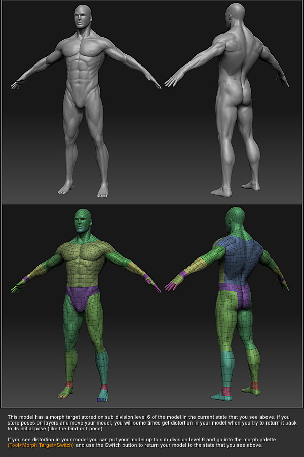 final_Tposes_screenGrab_arms_up_001.jpg