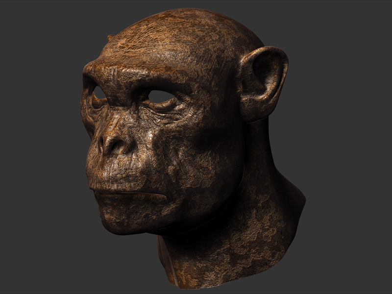 chimp_800.jpg