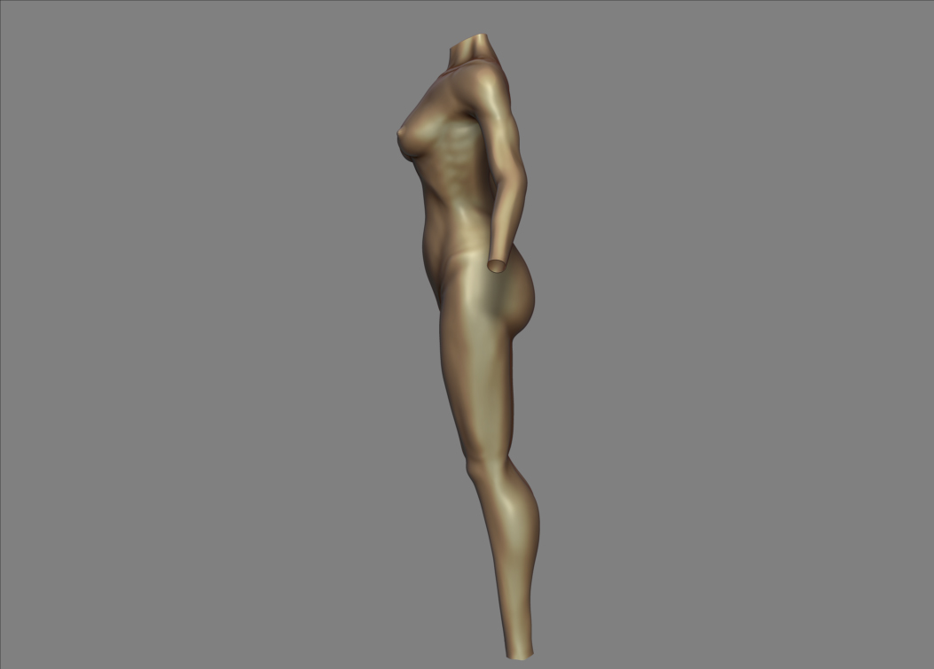 Anatomy_2.jpg