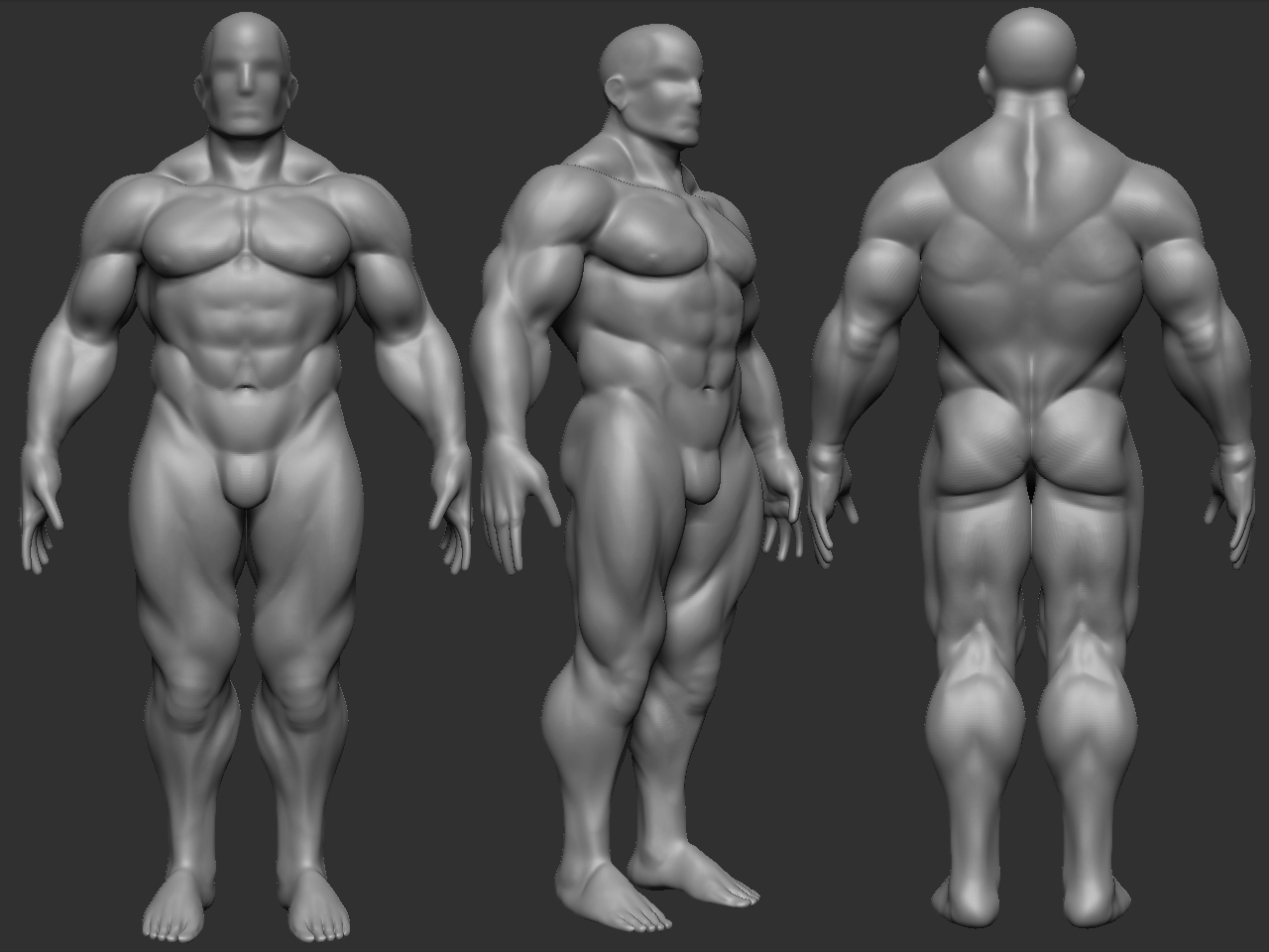 bodybuilder_v001.jpg