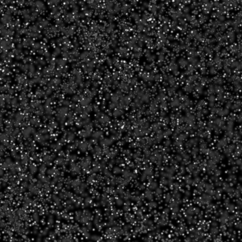 skin_pours_02.jpg