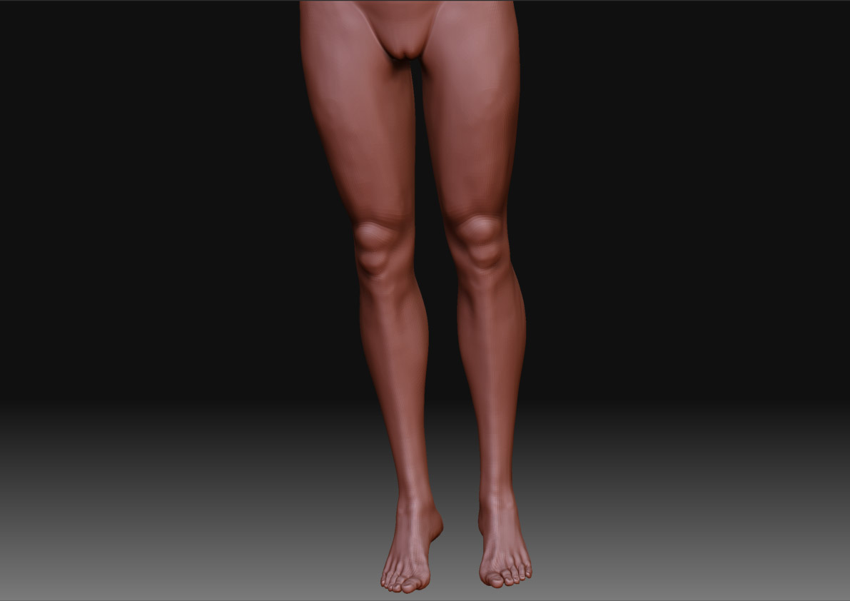 Legs_01.jpg