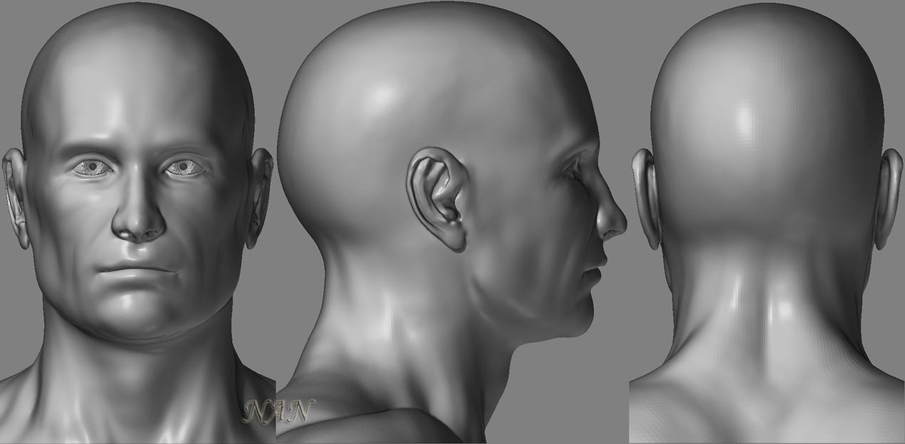 RealisticMaleHead_06.jpg