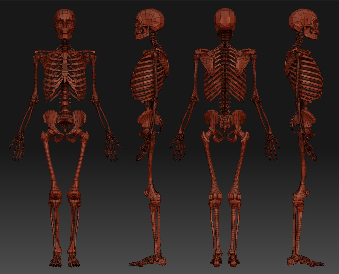 ZbrushWireframe.jpg
